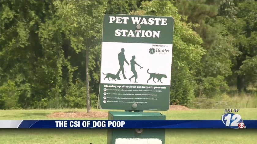 Poop patrols: dogs to face DNA testing in French town