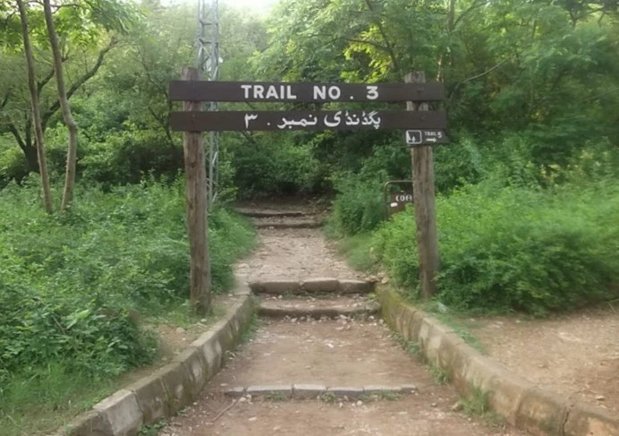 Trail 3 Islamabad rape case turned out to be a drama  