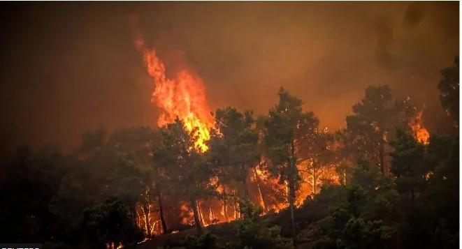 Thousands flee Greek island fires as southern US swelters