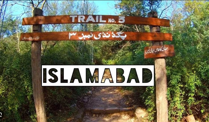 Trail 3 girl plots her rape for money