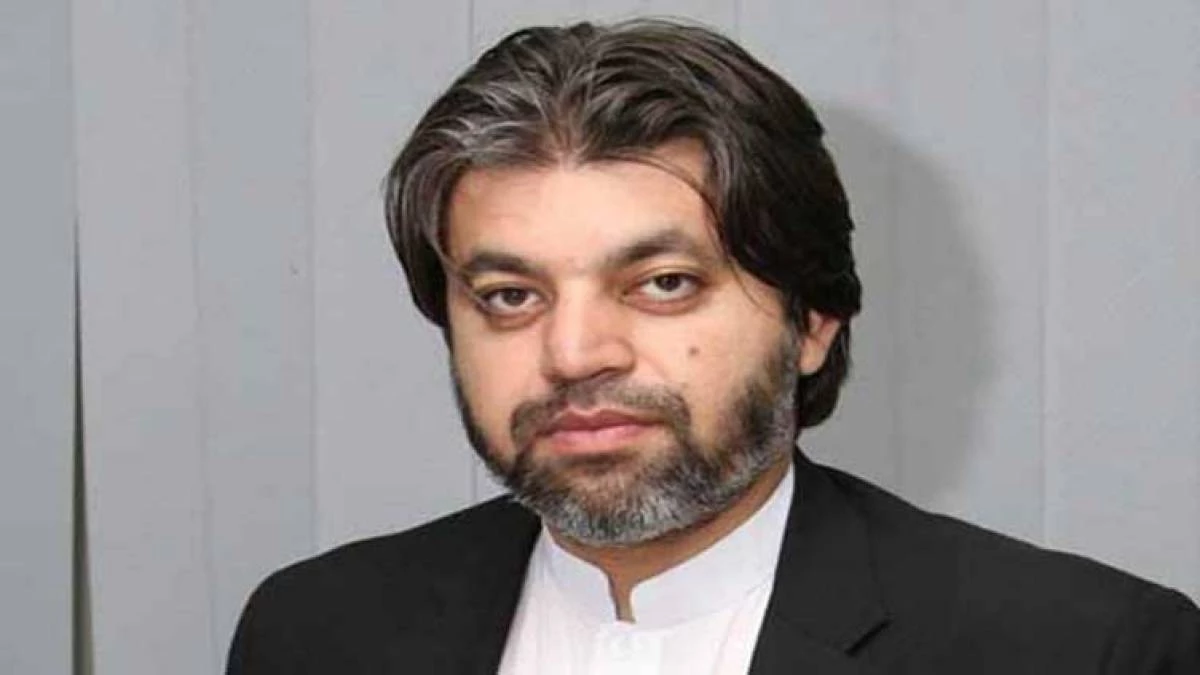 Finally, PTI's Ali Muhammad Khan released from jail after 8-time arrests in 78 days