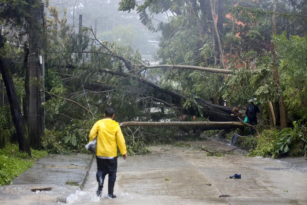 Flight instructor, Indian student killed in Philippine plane crash