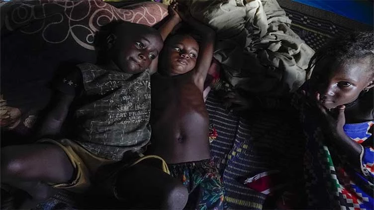 Nigeria cuts electricity to Niger after coup: Niger power company