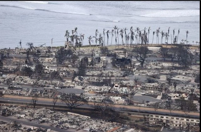 Hawaii starts probe into wildfire handling, as death toll hits 80