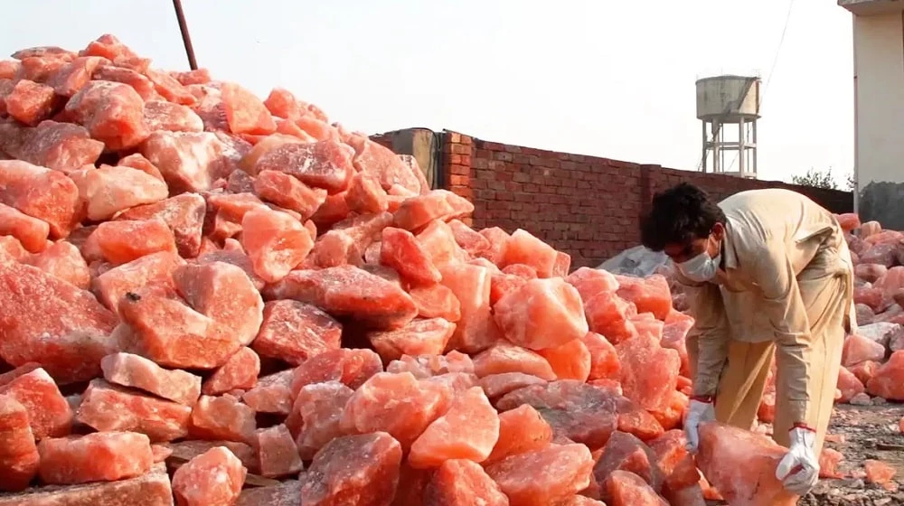 Landmark MoU with American Company marks milestone for Pink Salt export