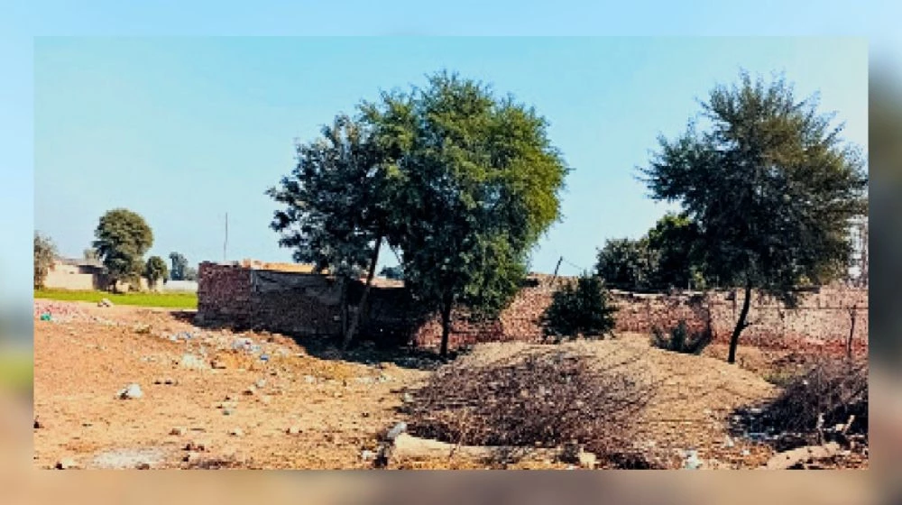 Punjab Cooperative Board recovers land worth Rs80 billion