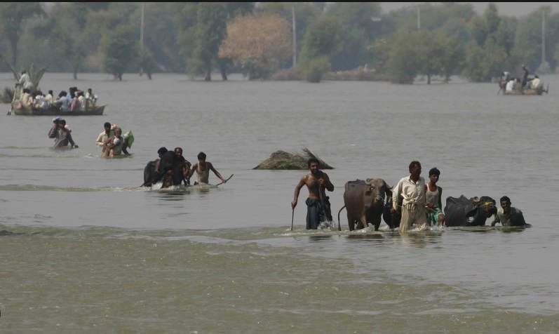 Swollen River Sutlej leaves trail of destruction at Burewala and Arifwala