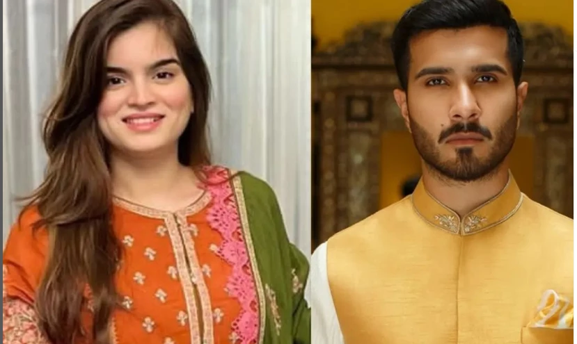 Is Aliza Sultan 'disgusting' post addressed to ex-hubby Feroze?