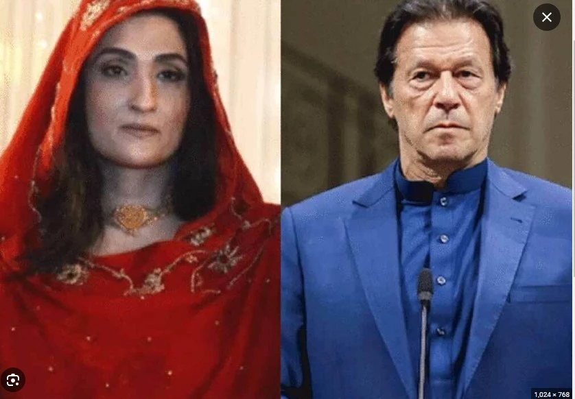 Bushra Bibi seeks details of cases lodged against her