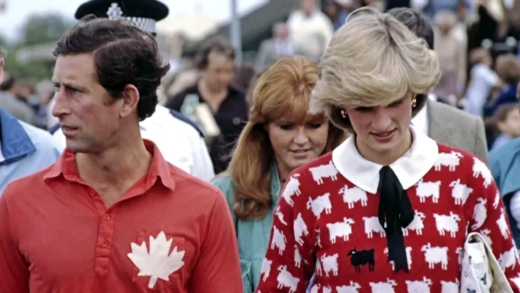 Princess Diana's 'Black Sheep' sweater sells at auction for $1.1 mn