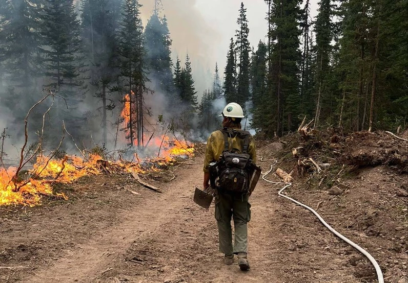 Four firefighters die in road crash after battling Canada wildfires