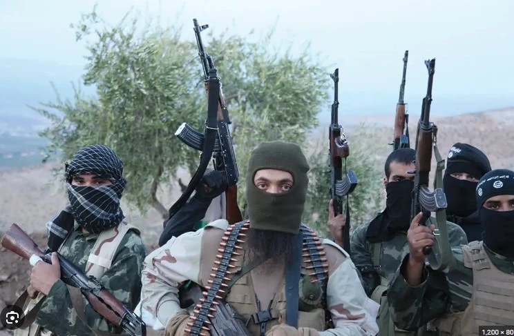 13 terrorists arrested in CTD operations across Punjab