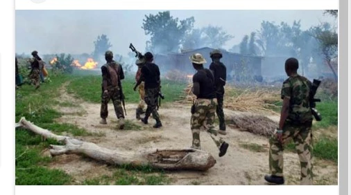 Nigeria troops rescue abducted students