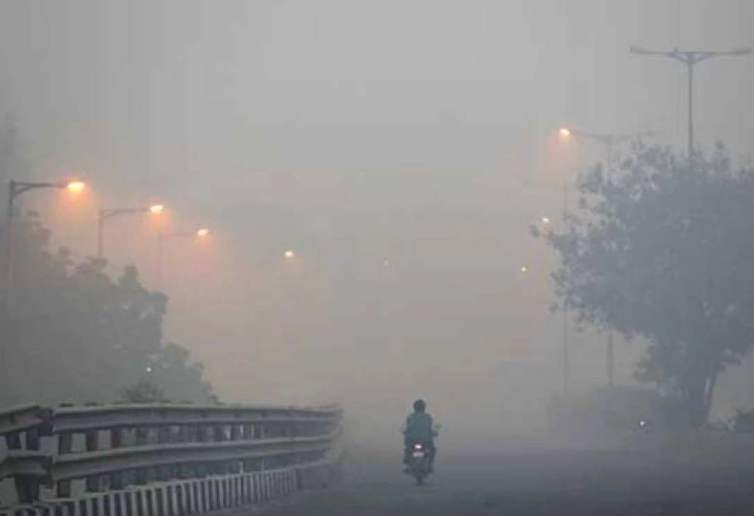 Punjab govt in action against smog