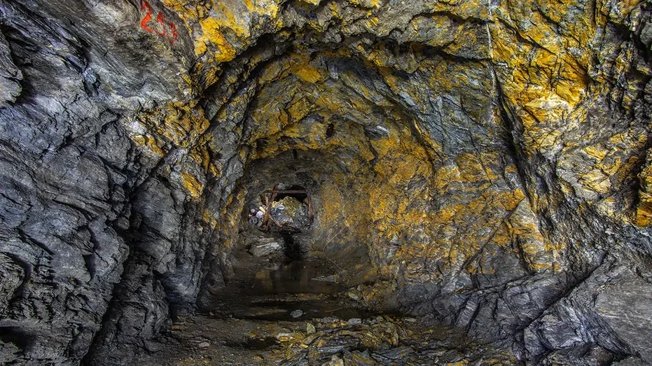 nine killed after Zimbabwe gold mine collapse