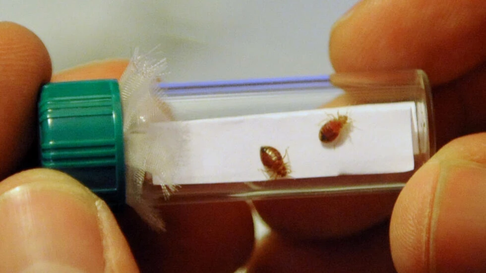 Macron party plans bill to squash France bedbug 'scourge'