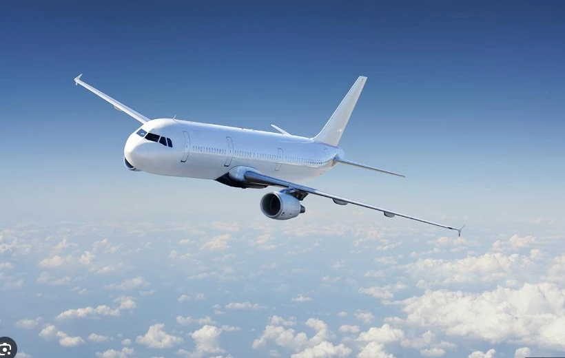 Six private airlines’ flights cancelled, four delayed