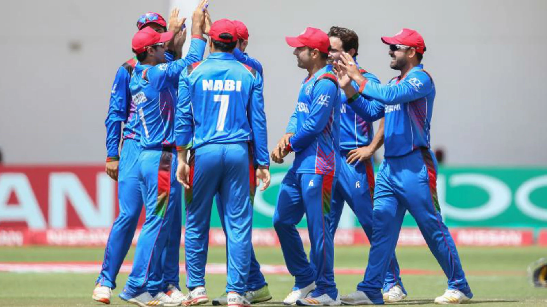 Afghanistan only get it '70-80%' right, says Trott