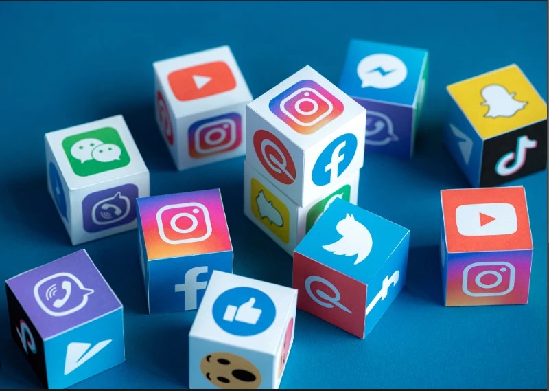 Sindh bans use of social media in schools