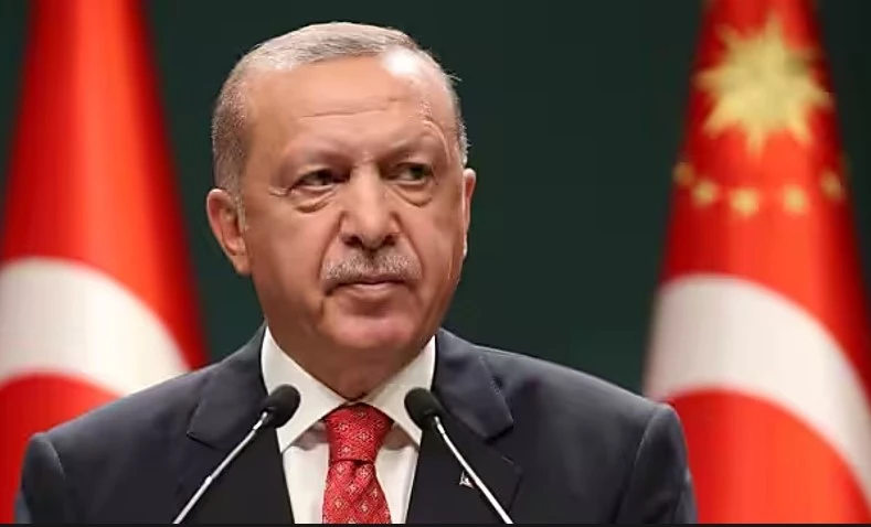 Turkey's Erdogan urges Israel to stop 'madness', end Gaza strikes