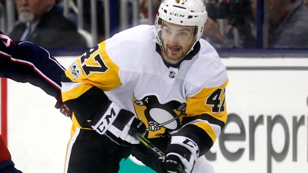 Ice hockey player dies during match