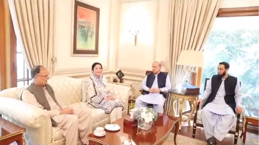 PTI’s former MNA Wajiha Qamar joins PML-N