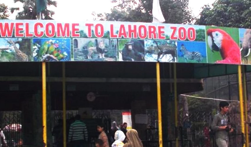 Lahore Zoo to remain closed till Jan 31