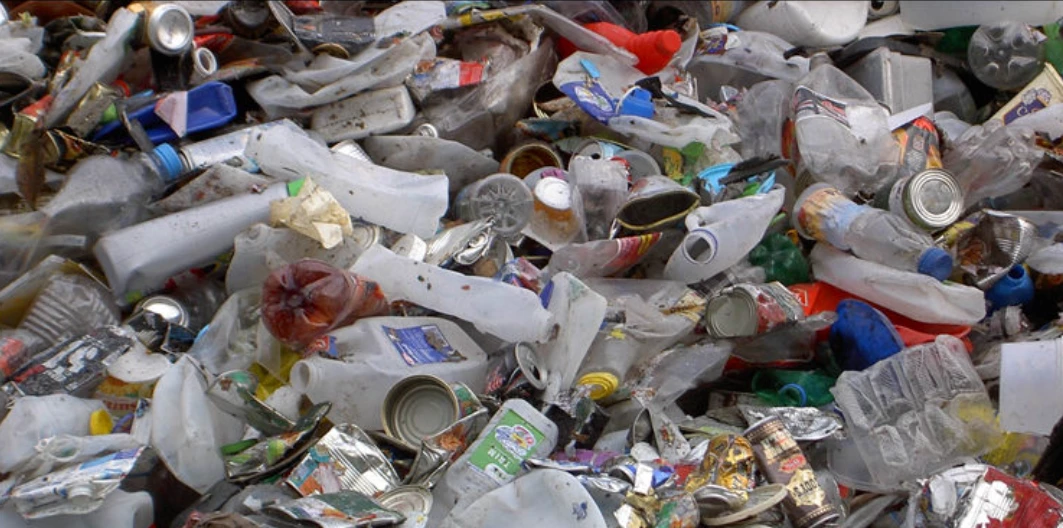 ECP removes MD of Sindh Solid Waste Management Company