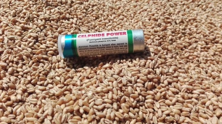 Youth commits suicide by consuming wheat pills  