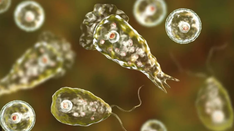 Naegleria claims another life in Karachi