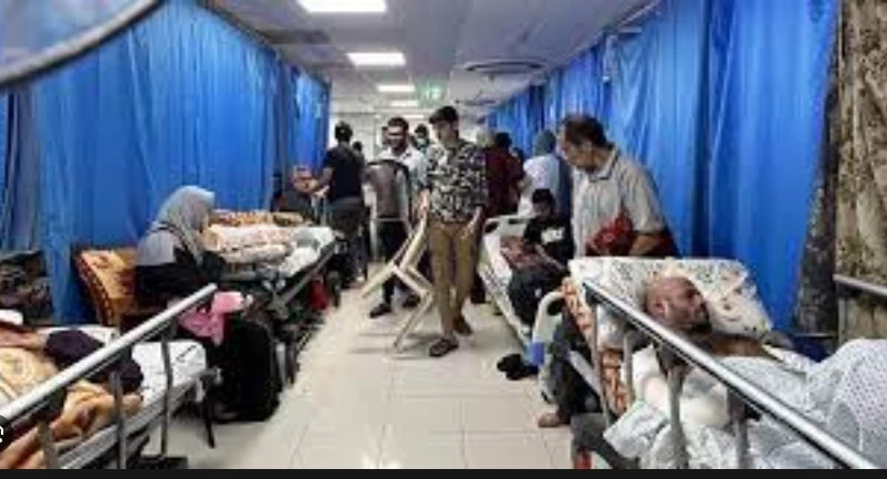 Israeli forces order Shifa hospital evacuation in 'next hour'