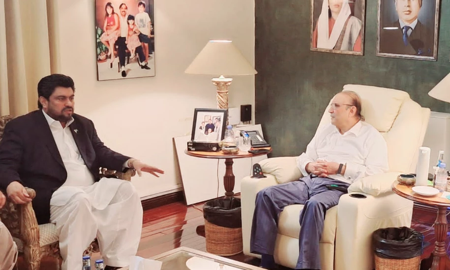 Sindh governor meets PPP co-chairman in Islamabad