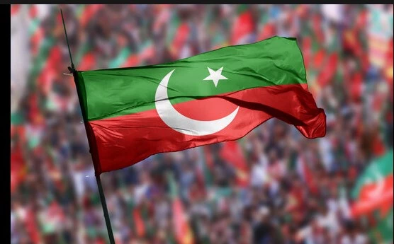 PPP, PML-N, PILDAT term PTI intra-party polls mockery of election process