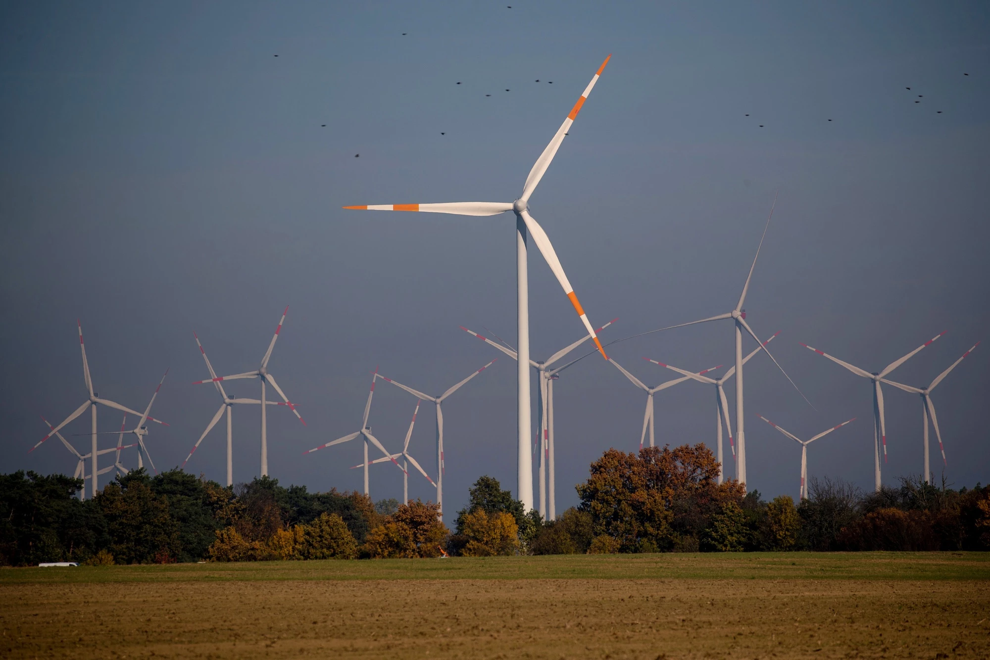 UK unveils £11b windfarm investment by UAE, German firms