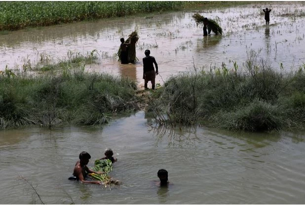 Sindh govt in a quandary on how to utilize Rs13 billion flood funds