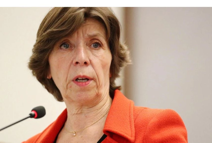 French top diplomat calls for 'immediate and durable' Gaza truce