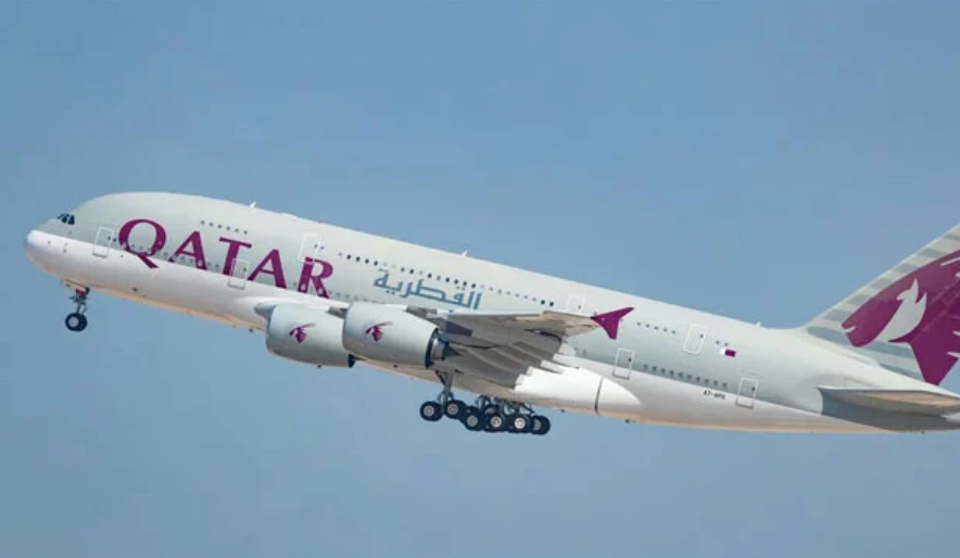 Bird hits Qatar Airways flight