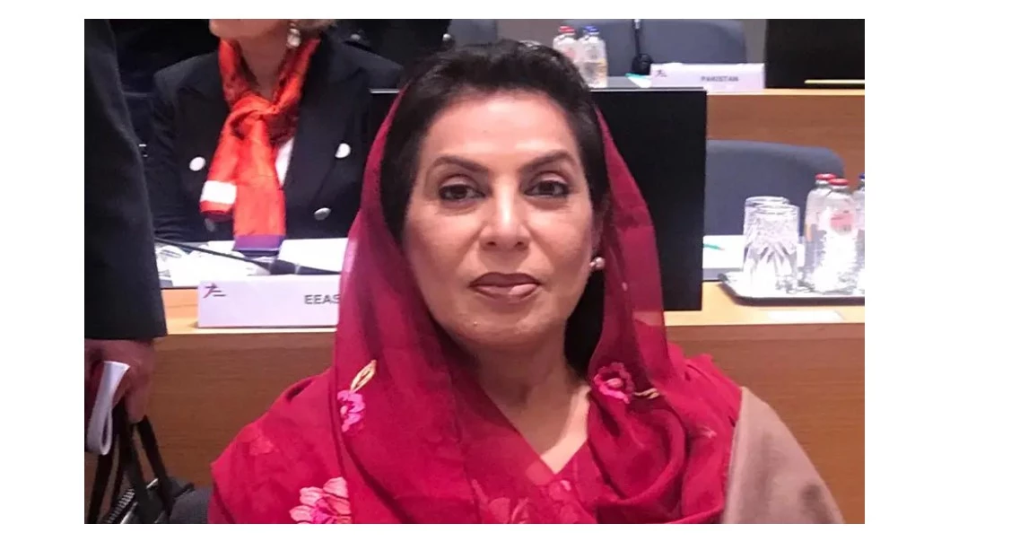 Fahmida Mirza injured in Karachi road accident