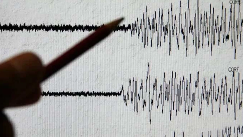 Quake felt in Islamabad and surrounding areas