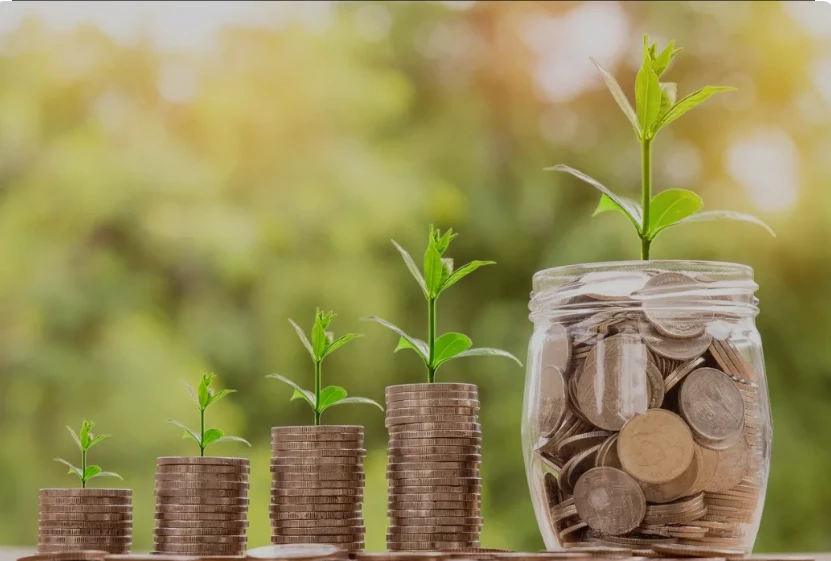 Wise investments promise to bring handsome dividends, stars tell folks