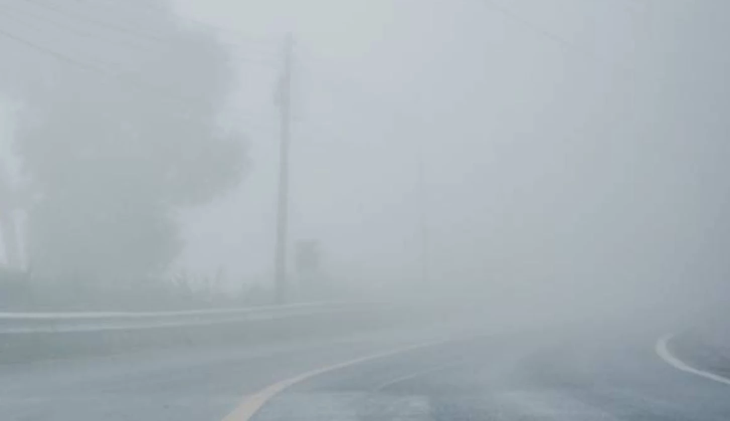 Motorway sections shut due to dense fog