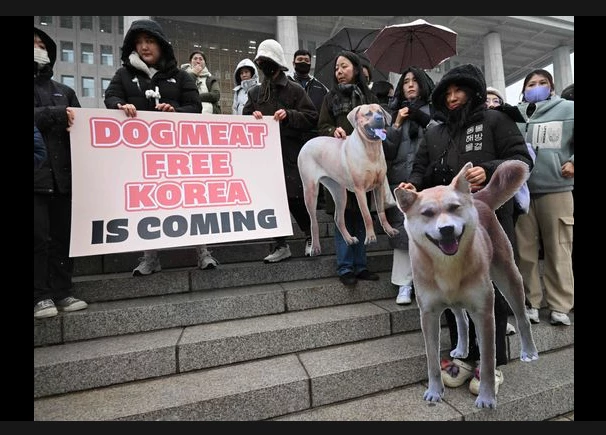 South Korea parliament passes bill banning dog meat trade