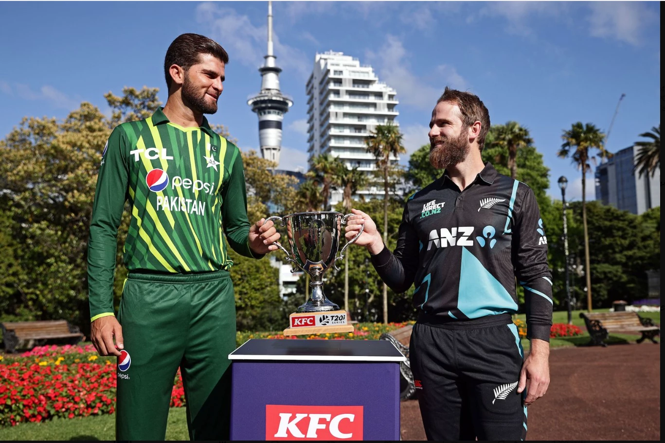 Pakistan, New Zealand to clash in first T20I in Auckland tomorrow