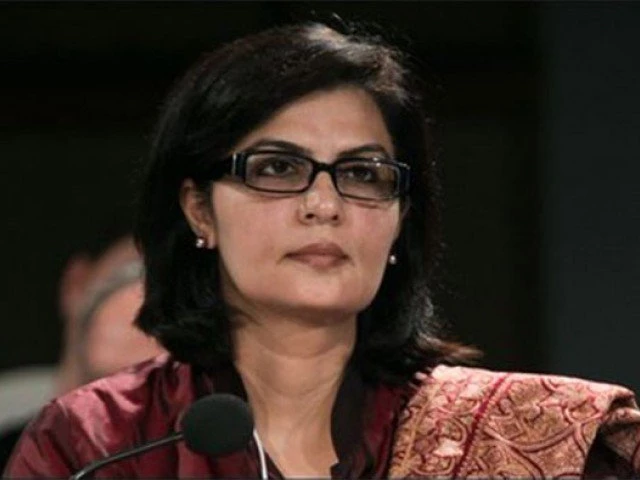 Pakistan senator to head vaccine alliance