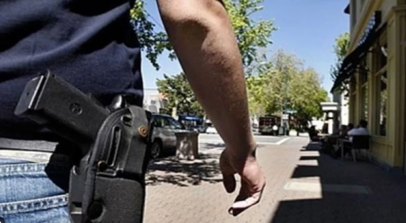 Sindh bans display and possession of arms ahead of general elections