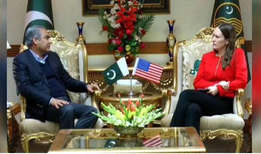 US diplomat meets CM Naqvi, discusses cooperation in different sectors