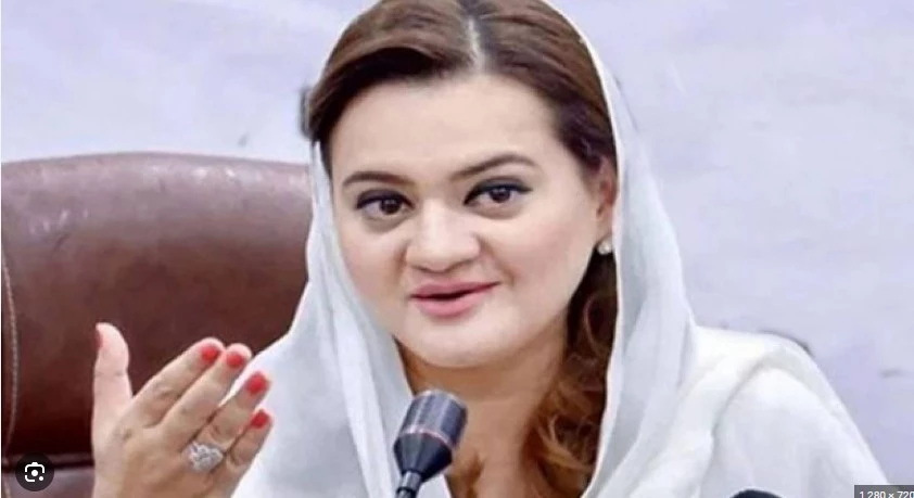 PML-N tells Bilawal Bhutto to select his words 'wisely'
