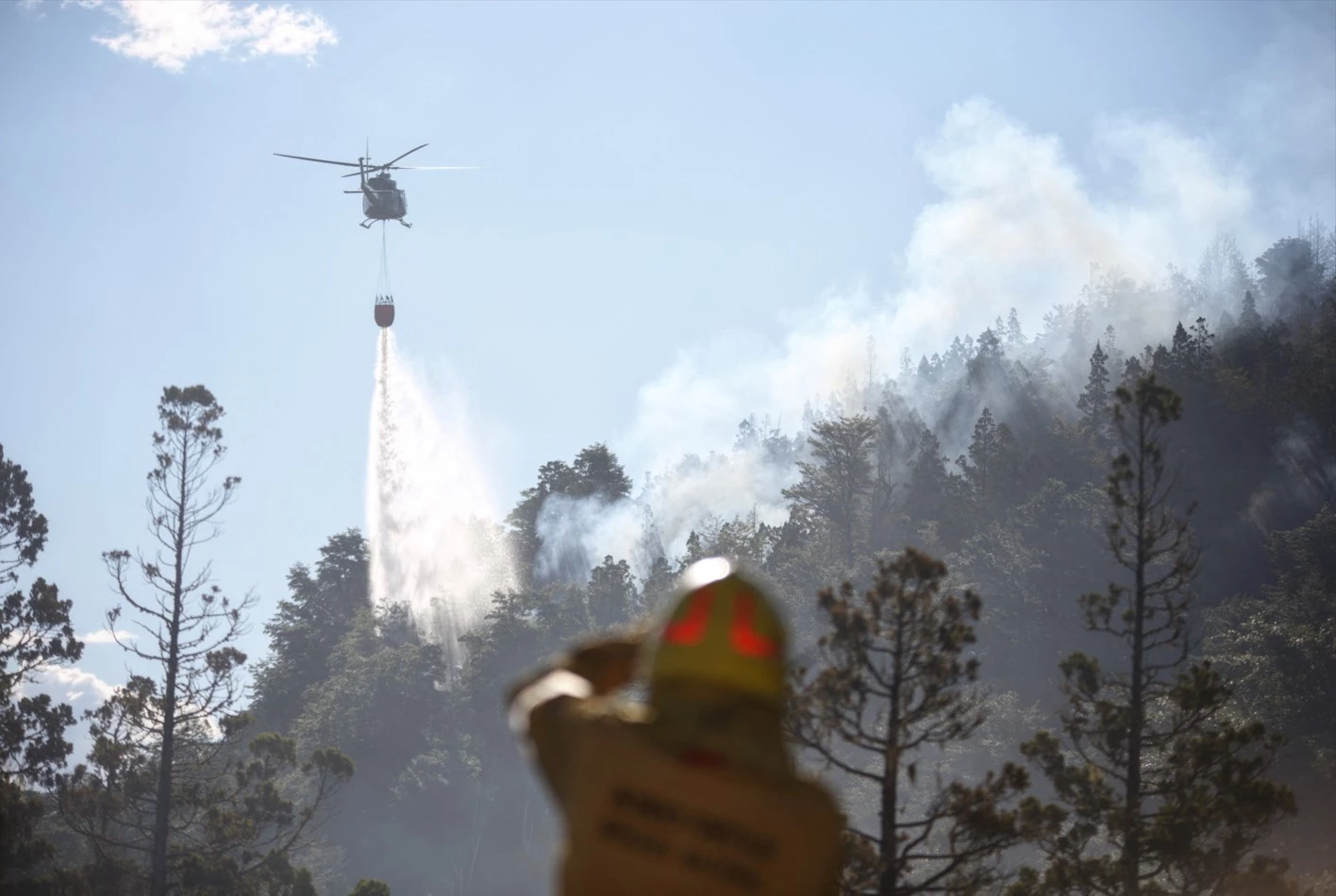 Firefighters battle 'out of control' blaze in Argentina park