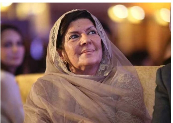 FIA issues another summons to Aleema Khan
