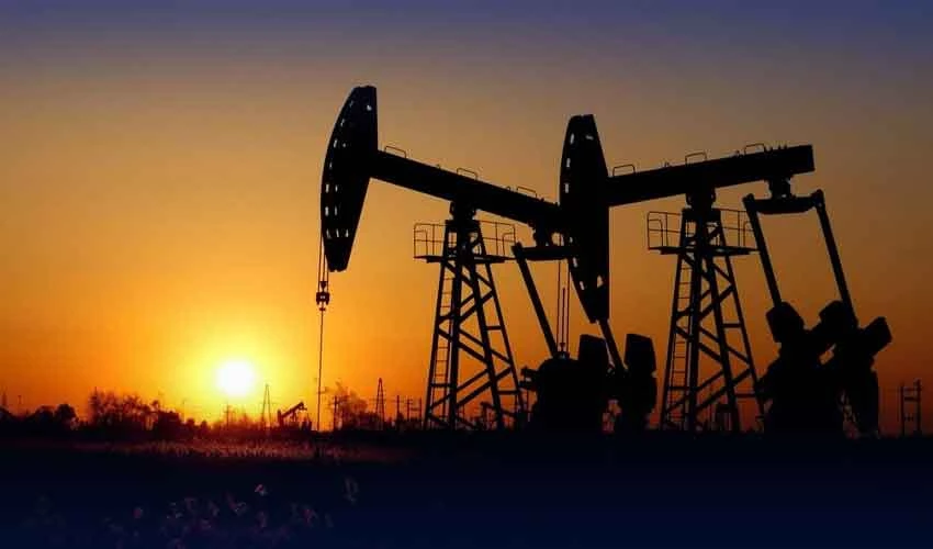 PPL discovers new oil and gas reserves in Sindh